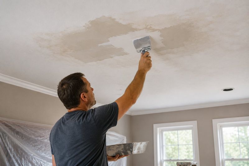 Attic Water Damage Repair in Denver, CO